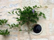 OEIL DE BOEUF GITE LA CHESNAYE FRESSINES DEUX SEVRES