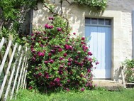 ROSIER BUANDERIE GITE VACANCES LA CHESNAYE FRESSINES DEUX SEVRES